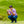 Load image into Gallery viewer, Miami Vice