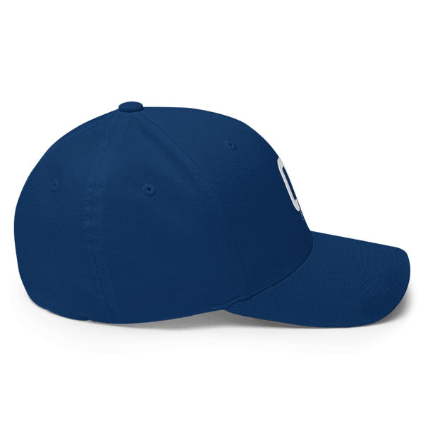 Royal Blue - Flexfit