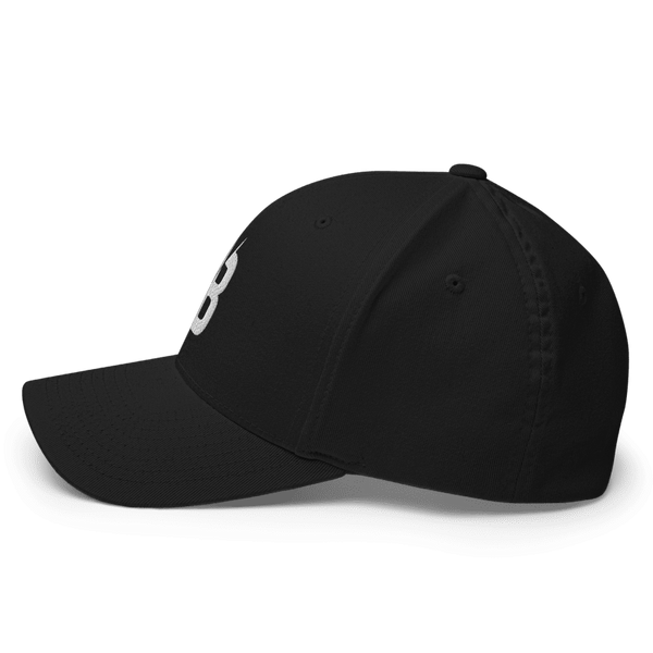 Black - Flexfit